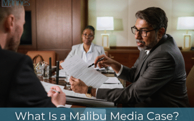 What Is a Malibu Media Case?