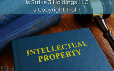 Is Strike 3 Holdings LLC a Copyright Troll?